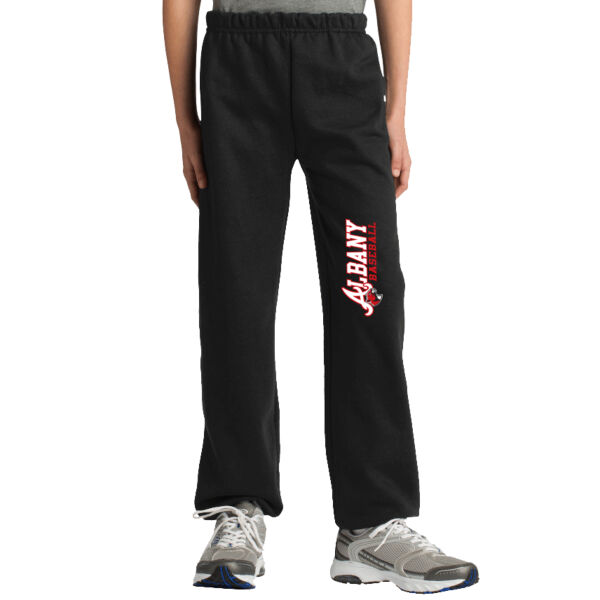 Albany Baseball Youth Heavy Blend Sweatpant Thumbnail